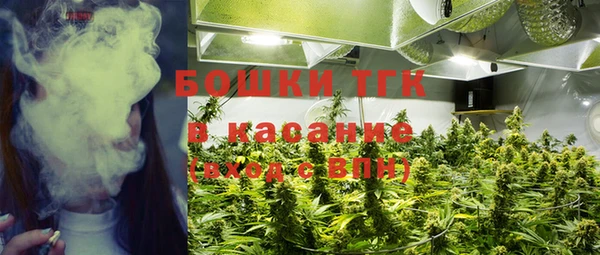 сатива Алзамай