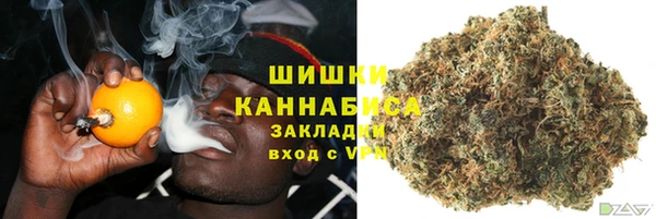 сатива Алзамай