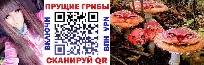 Галлюциногенные грибы MAGIC MUSHROOMS  Ачинск 